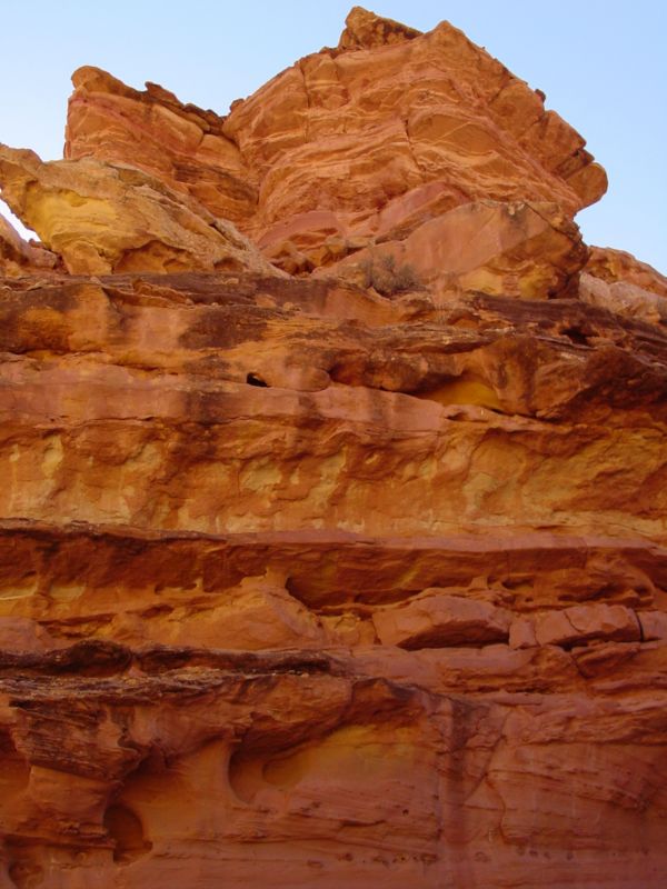 04160302LittleWildHorse (1089)